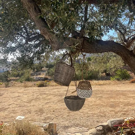Aneratza, Near Alyki And Airport Parikia (Paros)